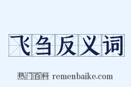 飞刍反义词是什么意思的图片